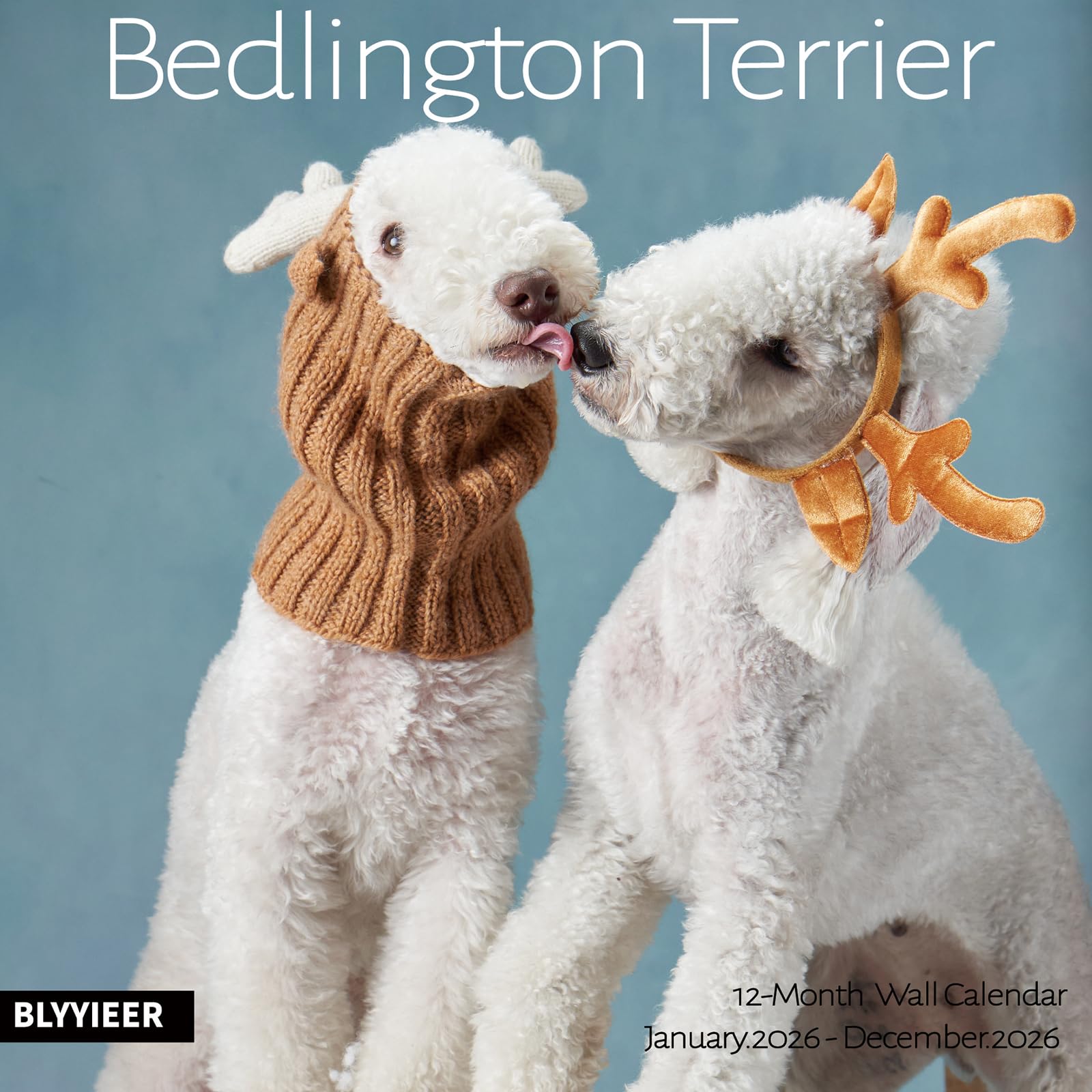 2025 Wall Calendar, Bedlington Terrier Wall Calendar, 12" x 24" Open,Family Planner Calendar, Home & Office Organizer,Hangable, for Dogs lover