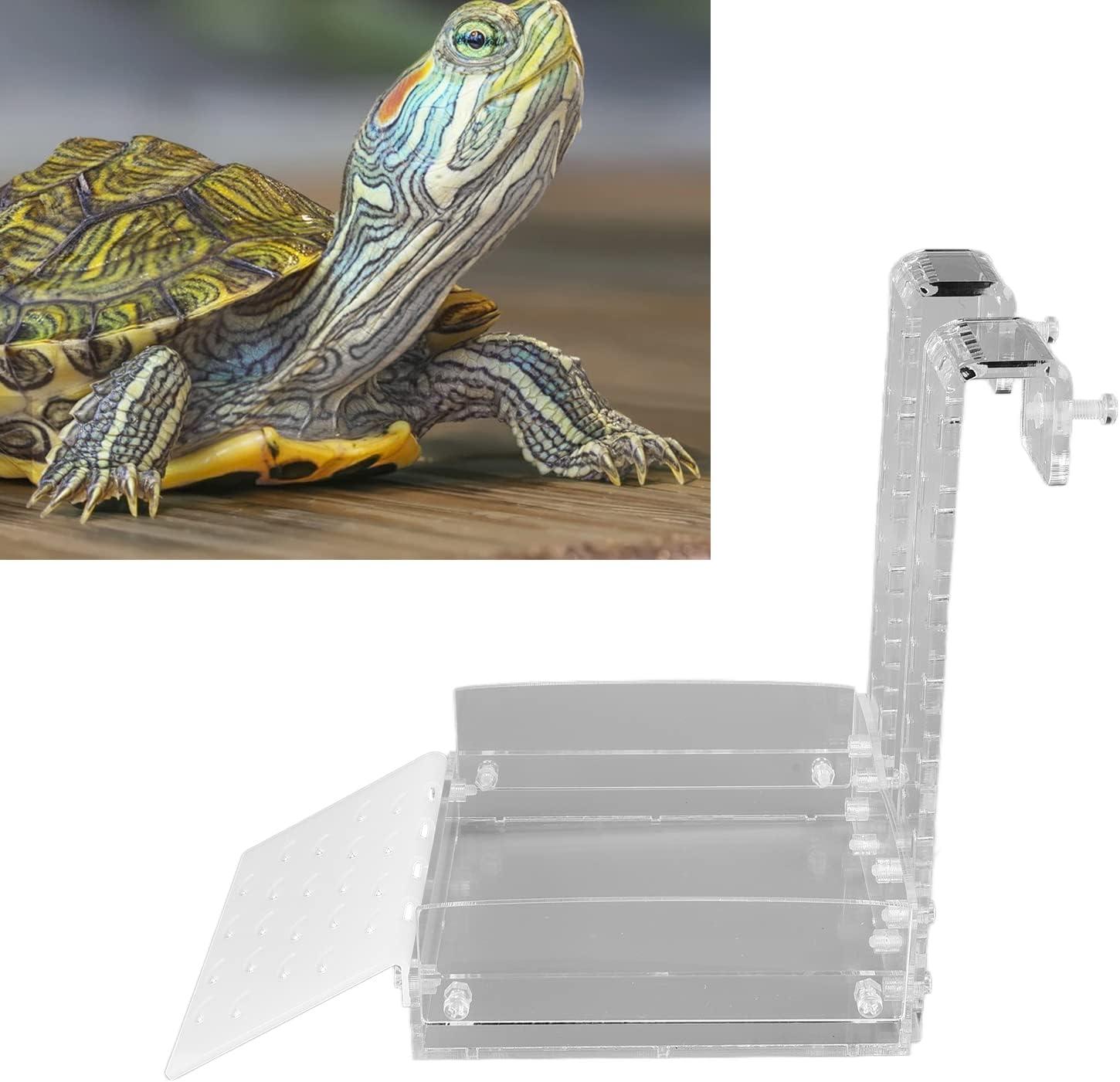 Pssopp Reptile Basking Turtles Dock Acrylic Relaxing with Suction Cups Transparent Sink Wharf