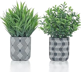Fake Grass Plants with Cement Pots