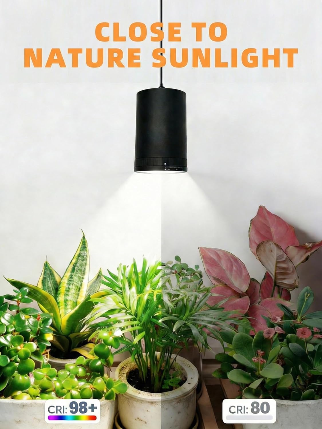 Retractable Hanging Grow Light for Indoor Plants, 35W High-PPFD Full Spectrum Pendant with Mechanical Timer, Adjustable Beam Angle (10°-55°) & Height, CRI 98+ LED for Seedlings to Trees