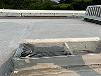 Review Image by Ken F. Ken F.