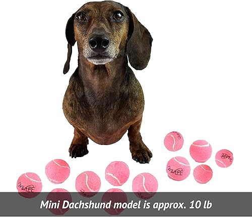 Miniatura 5 de Midlee Juego de 12 mini pelotas de tenis para perros chirriantes rosas de 1.5 pulgadas