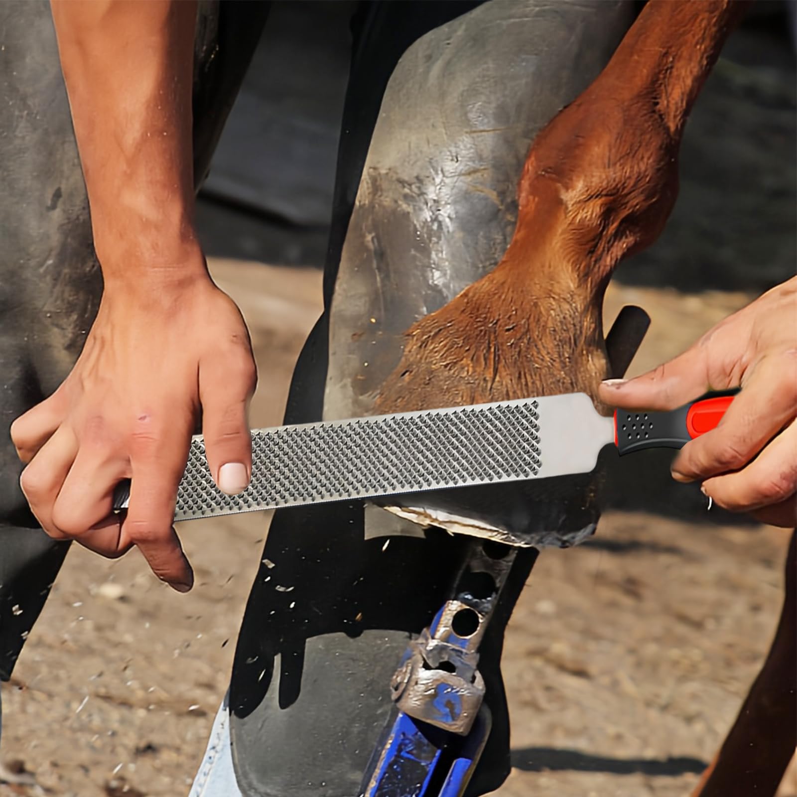 Couteau à Sabot à Double, Acier en Carbone Sabots Outil de Coupe, Lime à Sabot Double Face, avec des Poignées, pour Les Soins des Sabots pour Les Chevaux, Les Moutons et Les Bovins