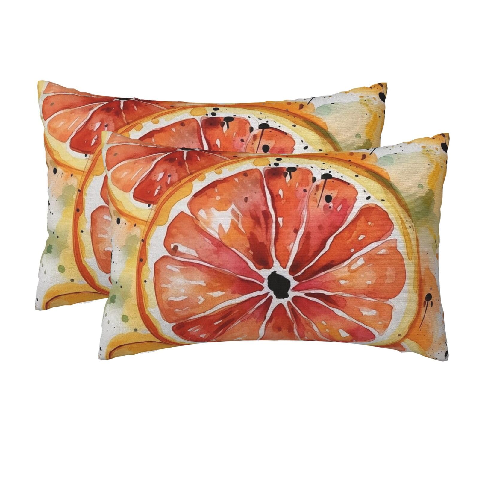 2 Pack Queen Size Pillow Cases for Hair and Skin Soft Breathable Pillow Case Covers with Hidden Zipper Watercolor Orange Slice Pillowcase 20x30 Inches Pillow Cover for Sleeping Gift