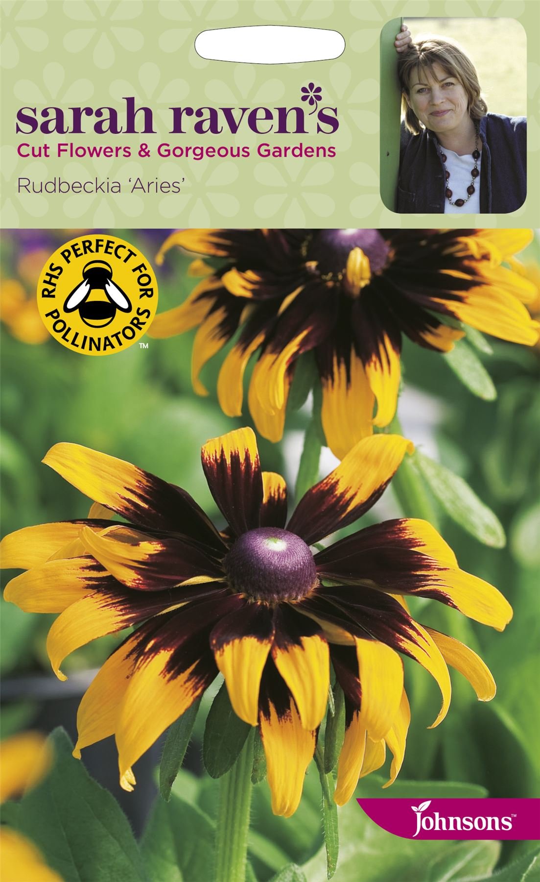 Johnsons - Sarah Raven's Cut Flowers - Rudbeckia Aries - 500