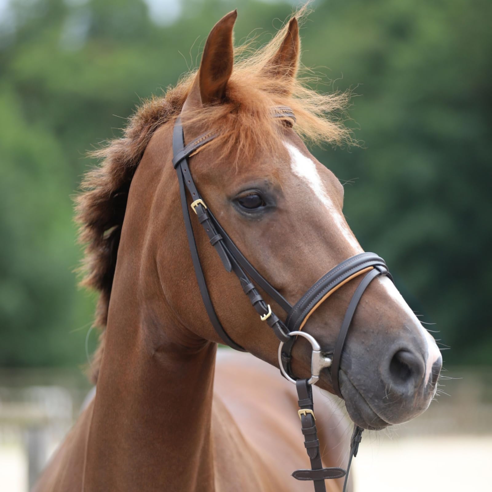 Marengos - Trensenzaum englisch kombiniert Diamond Braun/Gold Pony