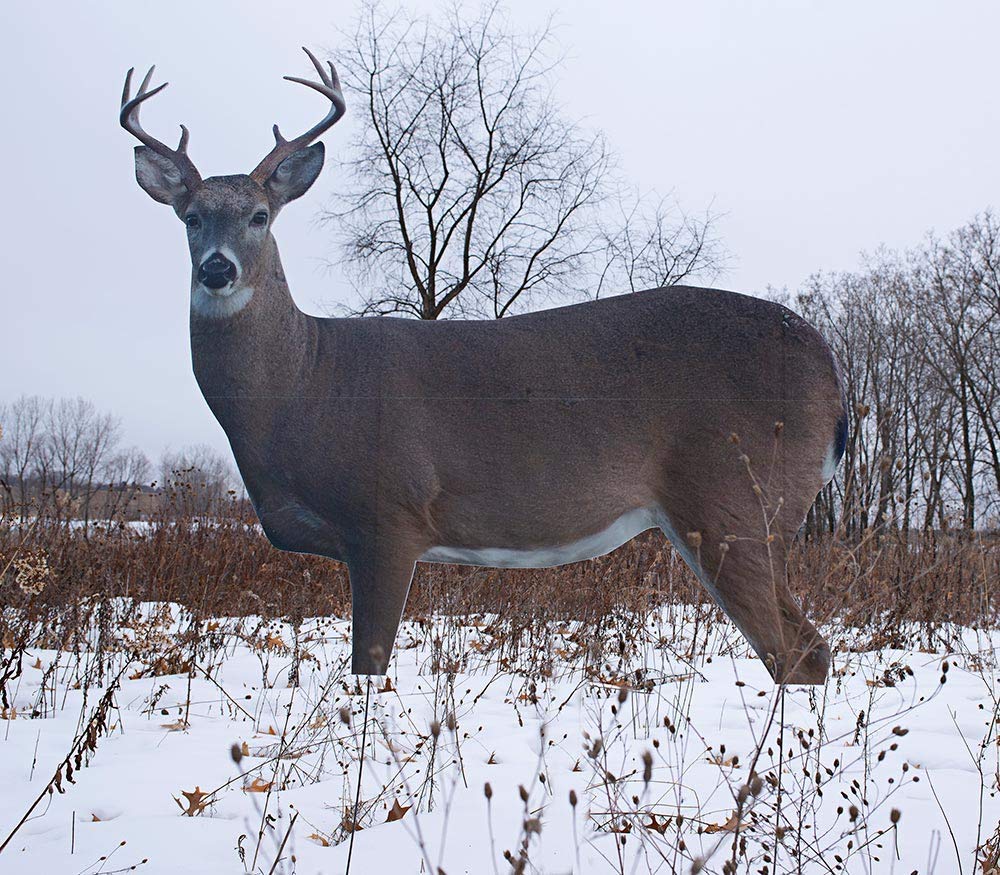 - TCDesignerProducts 2D Wildlife Silhouette Decoys, Photo-Realistic Hunting Decoys for Snow Geese, Coyotes, Whitetail Bucks & Does, Mallards, Turkeys, Canadian Geese – Motion & Easy Setup