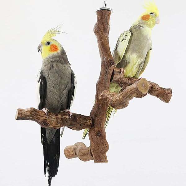 Allazone Lot de 6 perchoirs à Oiseaux naturels avec Jouets à mâcher en Vigne Naturelle pour perroquets, perruches, calopsittes, Conures, aras, inséparables - 4