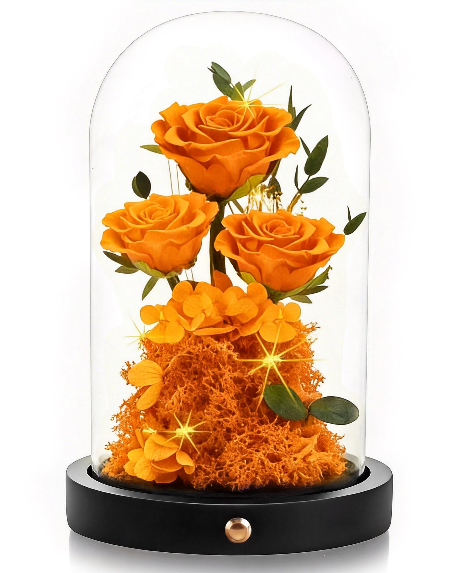 Agrul Birthday Gifts - dried and preserved flora | Mubboo