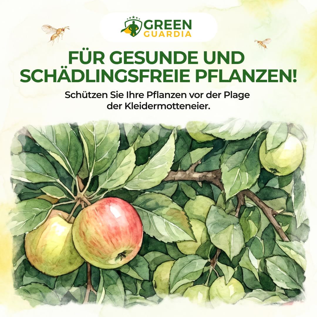 GREEN GUARDIA Schlupfwespen gegen Apfelwickler - 3 Karten à 3 Lieferungen - Effektive Bio-Bekämpfung gegen Apfelwickler, Alternative zu Apfelwicklerfalle, Spritzmitteln, Nematoden & Pheromonfallen