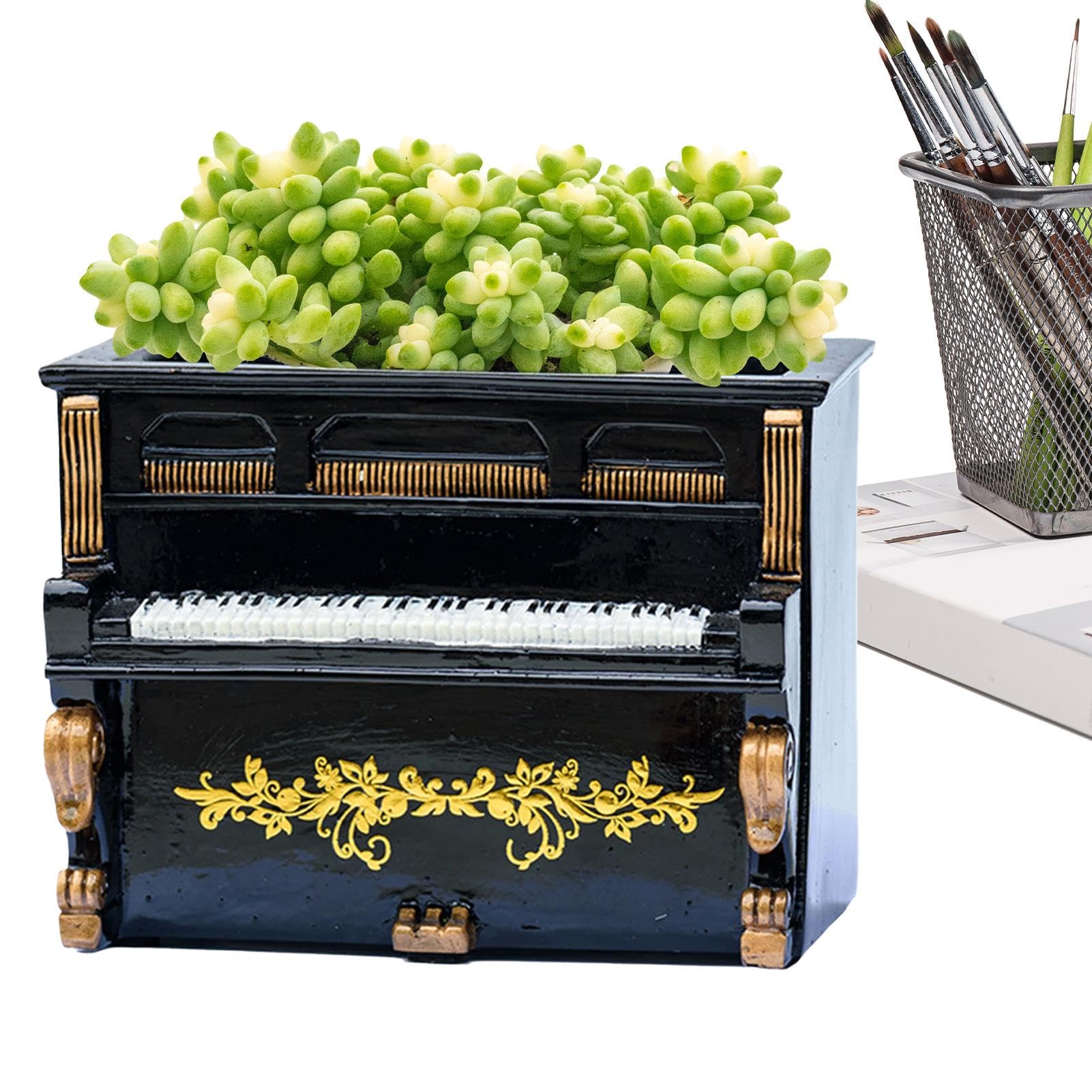 Pot de succulentes piano idéal pour décorer un bureau ou un salon lumineux