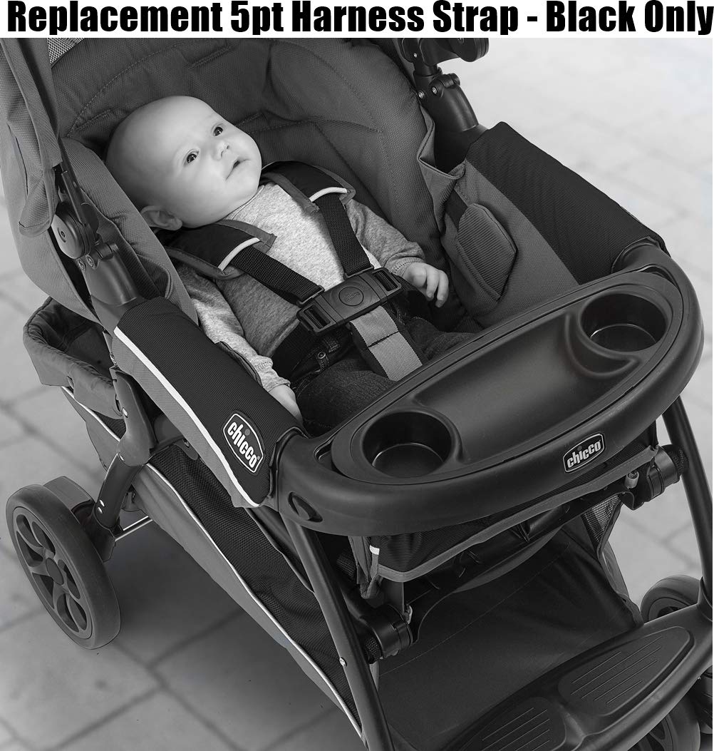 Replacement Strap for Chicco Cortina Stroller Product Series ~ Replacement 5pt Harness Strap