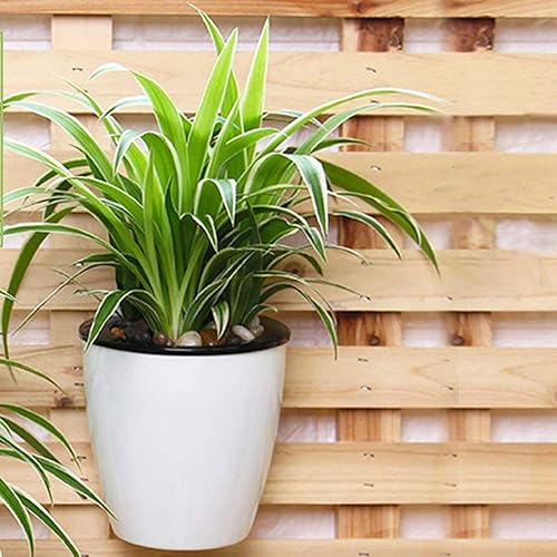 Miniatura 6 de MUKCHAP Paquete de 8 macetas de riego automático de 7 pulgadas montadas en la pared, de plástico de autoabsorción de agua, macetas para plantas de