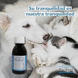 Ver la foto 4