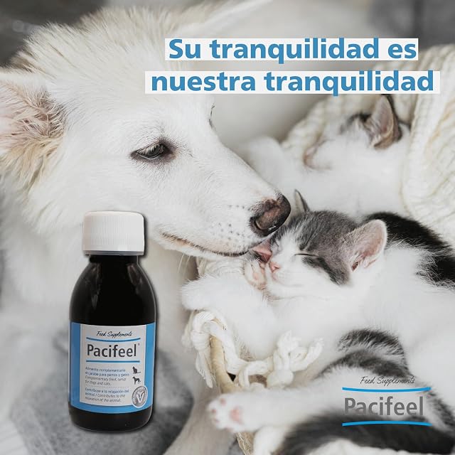 Foto 4 de 7 de Heel - Pacifeel Jarabe, Complemento Alimenticio Para Perros y Gatos con Melisa y Pasiflora, Favorece…