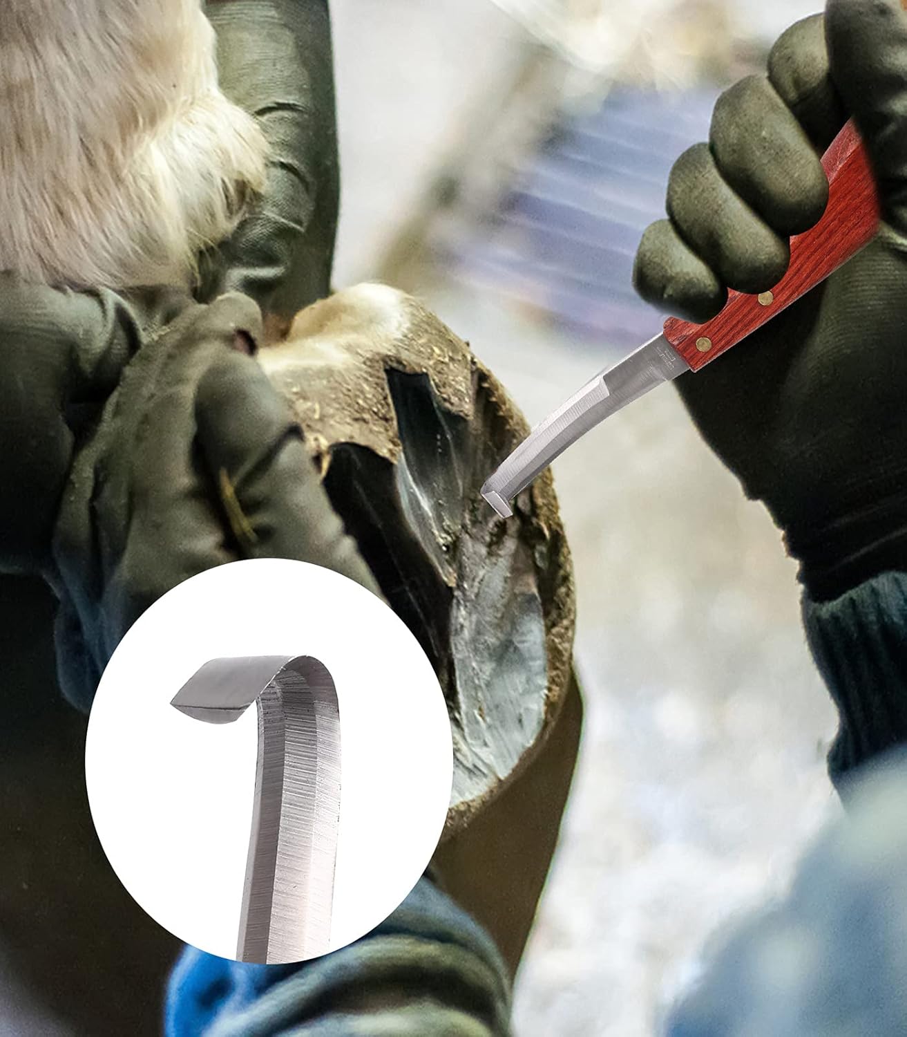 Ueemph Farrier Tools 16-inch,Horseshoe Pliers Tool for Horses,Rasp Hoof Cutter Set, Horses Hoof Trimmers Tools, Suitable for hoof Trimming of Goats, Sheep, Alpaca, Pigs, Horse Pick, Cattle, Donkeys. : Pet Supplies