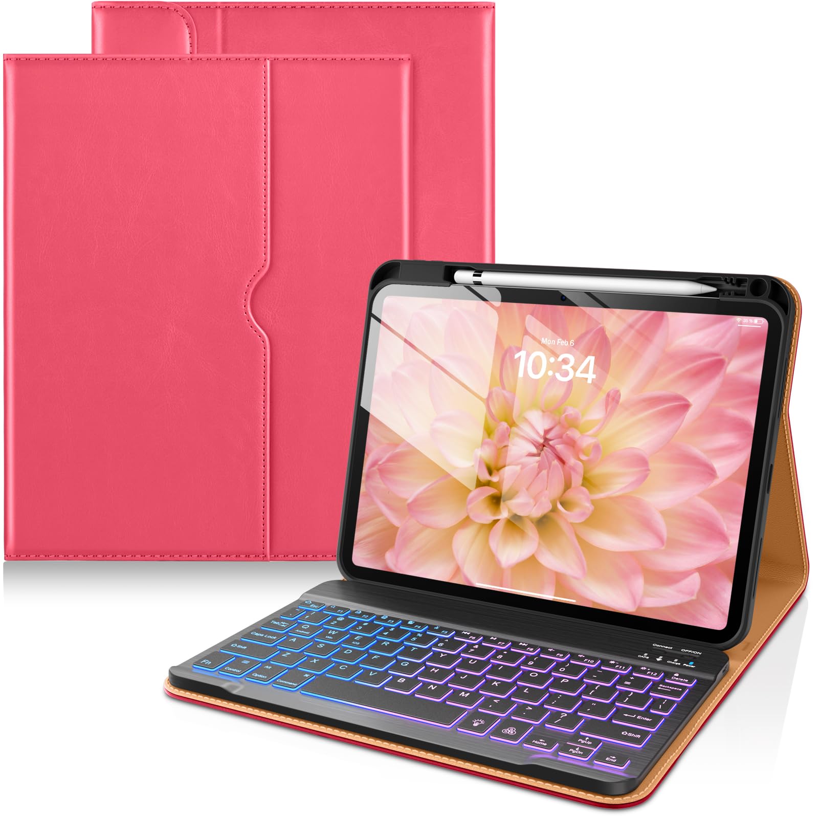 DTTO for iPad (A16) 11th / 10th Gen Case with Keyboard, Rose Red A2