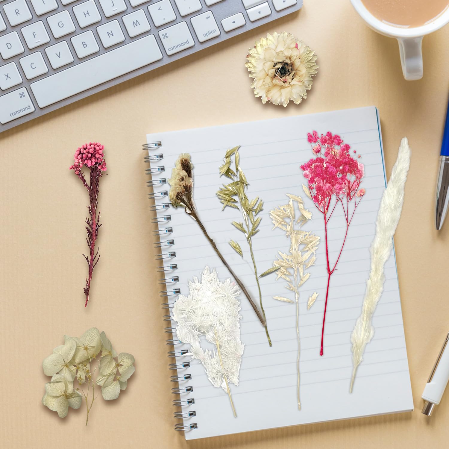 Dried Flowers - Image 4