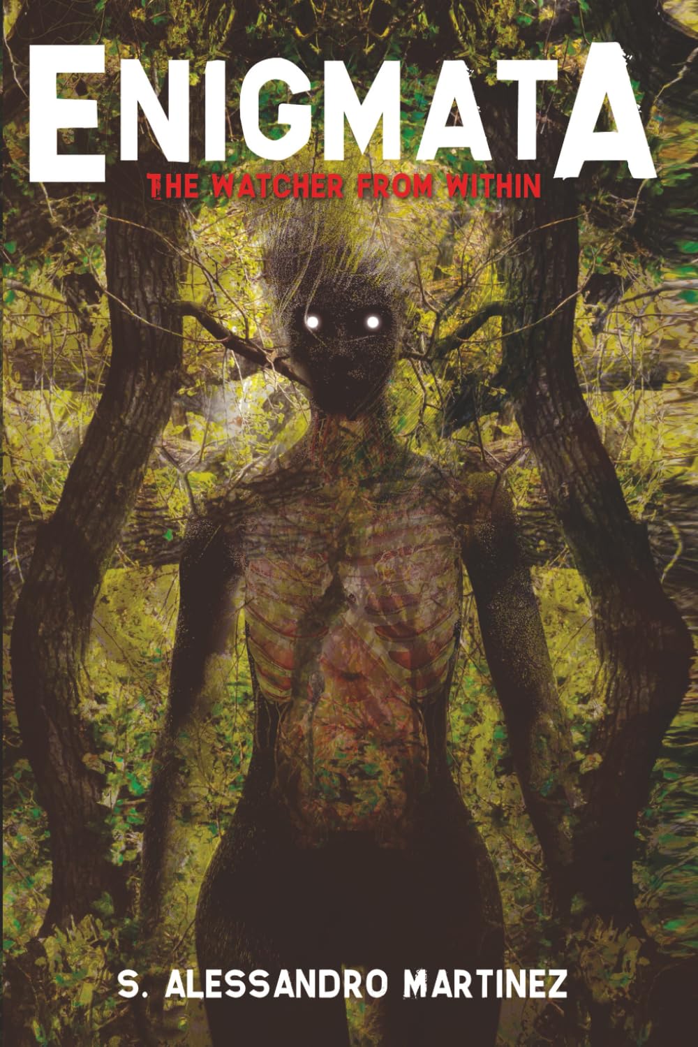 Enigmata: The Watcher from Within