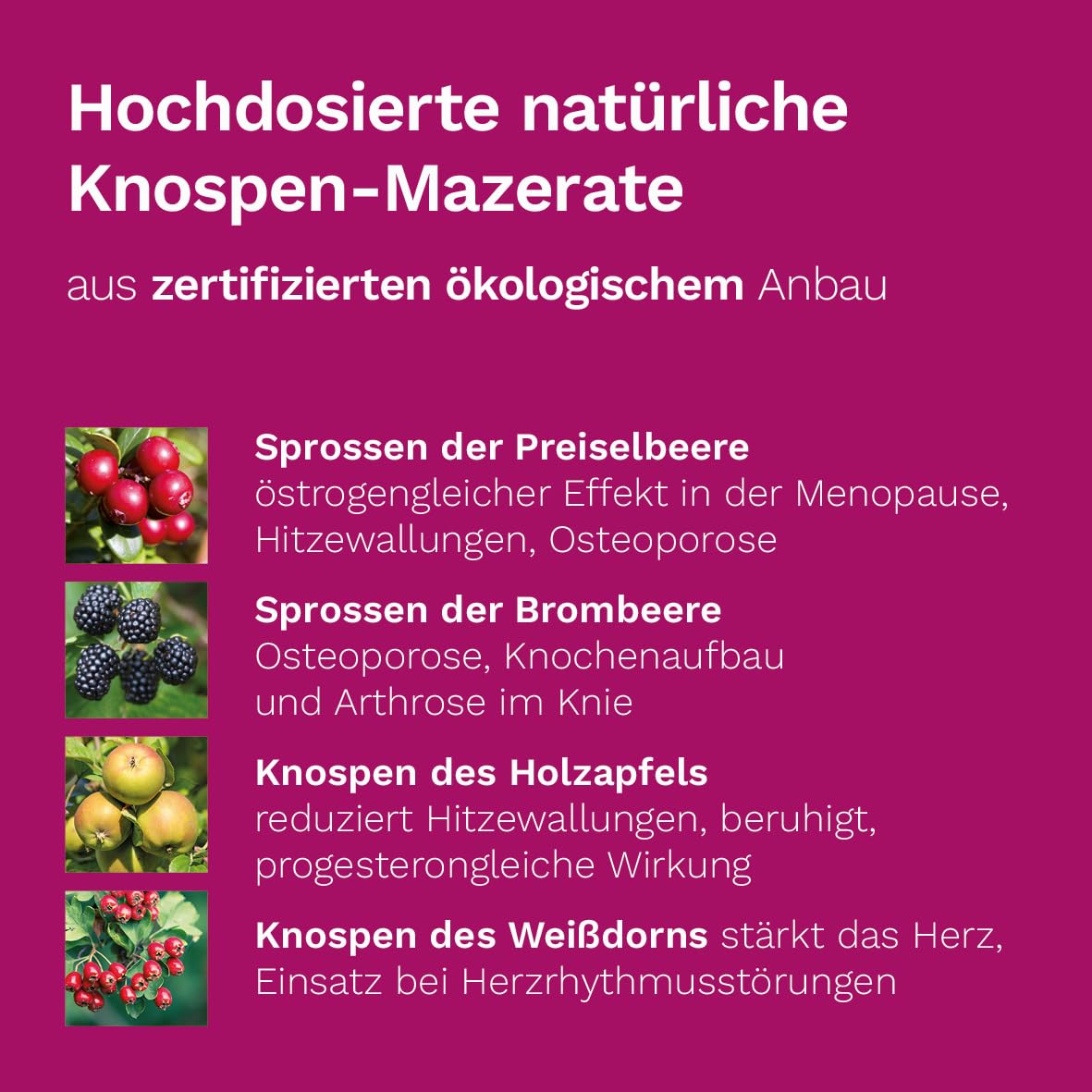 Meno Plus von Dr. Koll - Natürliche Unterstützung während der Menopause mit Vitaminen und Pflanzenextrakten, 50 ml