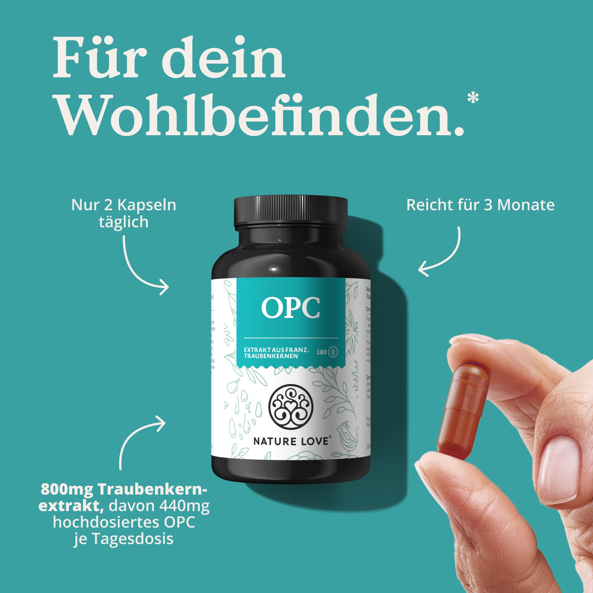 NATURE LOVE® OPC Traubenkernextrakt - 180 Kapseln - hochdosiert mit 800mg Extrakt je Tagesdosis - aus französischen Trauben - mit natürlichem Vitamin C - laborgeprüft, vegan, in Deutschland produziert