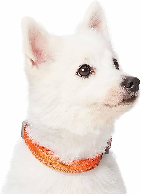 Amazon Brand - Umi Pastel Color Reflective Dog Collar in Harvest Pumpkin, Medium, Neck 37cm-50cm, Adjustable Collars for Dogs