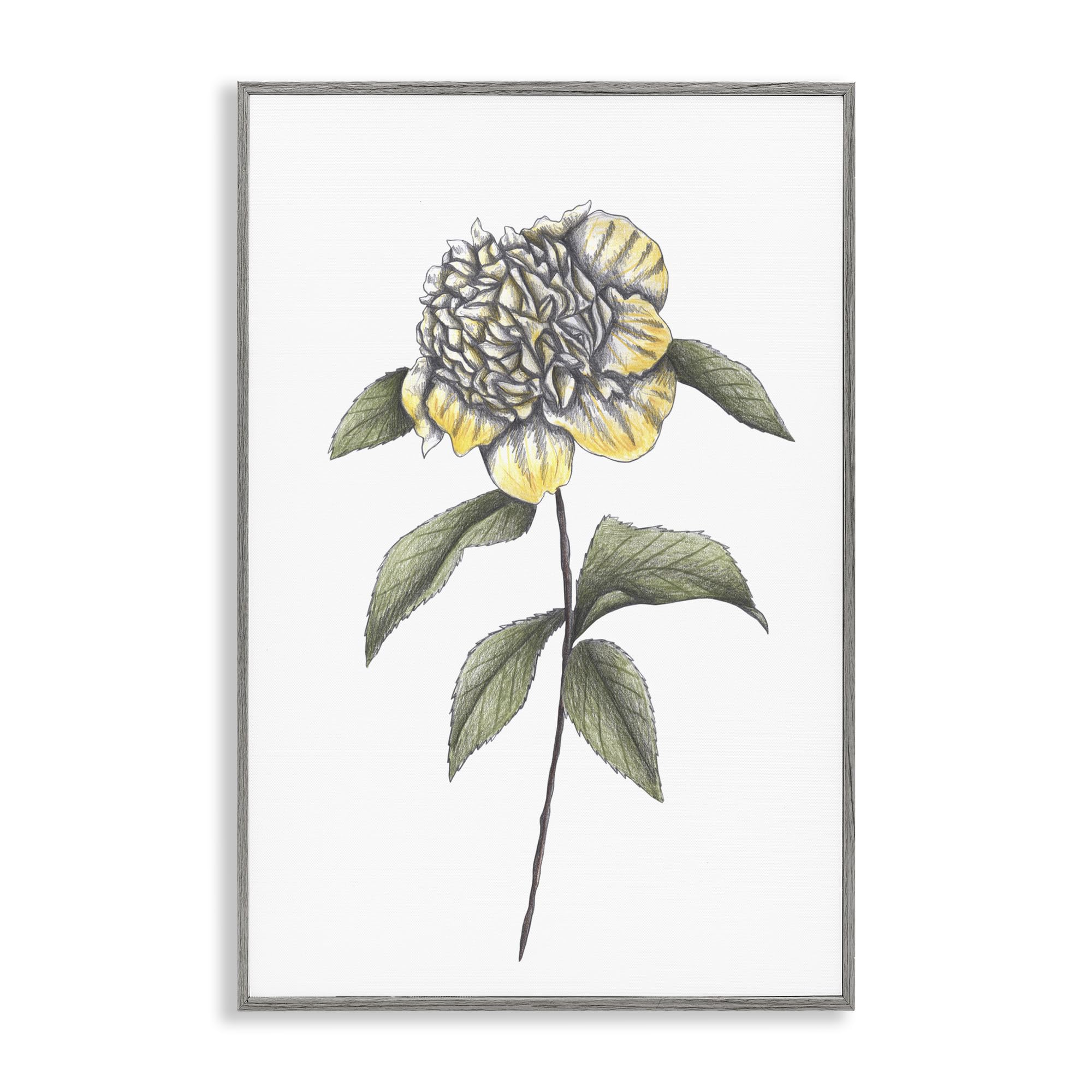 Fleur de camélia encadrée grise Cecilia Battaini : finis les murs vides et tristes
