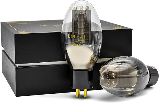 Matched Pair LINLAI 7300B -D Vacuum Tube Amplifier Valve With Gift Box Factory D-series Titanium Screen