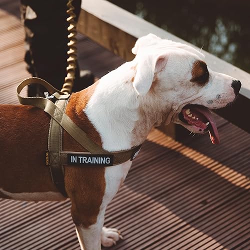 Miniatura 8 de EXCELLENT ELITE SPANKER Arnés acolchado para perro, sin tirones, arnés ajustable de nailon para perros pequeños, arnés para caminar para entrenar y