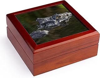 3dRose Yacare caiman crocodile, Argentina - SA01 AMR0021 - Andres Morya Hinojosa, Jewelry Box jb-140800-1