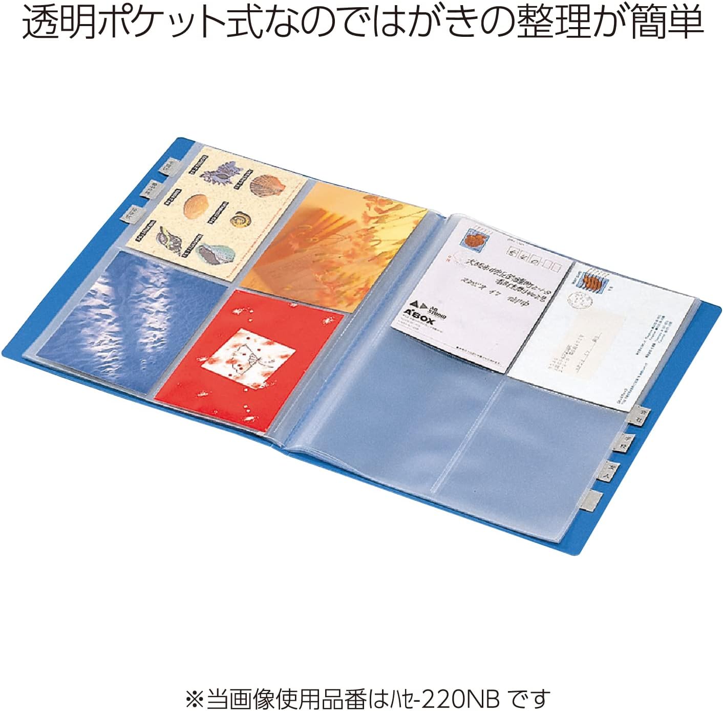 Kokuyo post card holder fixed A4 50 Pocket Max number 400 sheets gray Hase -230NDM