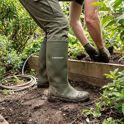 Dunlop Women's Price Master PVC Rain Boots Outdoor Rain Shoes Gardening Boots Wellington Boots for Women, Green - Green, 3 UK