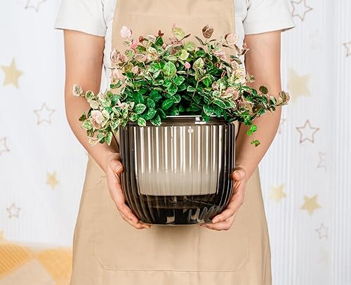 Miniatura 8 de Melphoe 1 paquete de macetas colgantes de riego automático para interiores, cesta colgante de 8.3 pulgadas para macetas colgantes al aire libre,