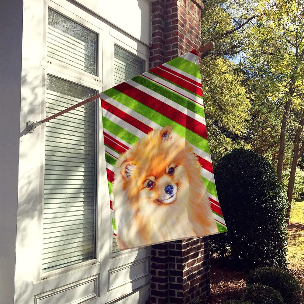 Caroline's Treasures LH9260CHF Pomeranian Candy Cane Holiday Christmas House Flag Large Porch Sleeve Pole Decorative Outside Yard Banner Artwork Wall Hanging, Polyester, House Size, Multicolor