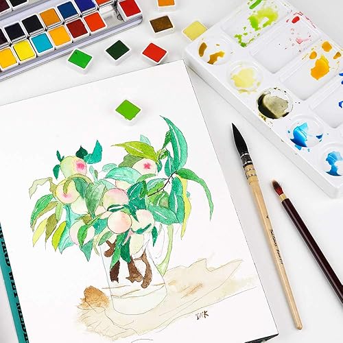 Miniatura 8 de Paul Rubens Pasteles suaves profesionales, hechos a mano, 72 colores vibrantes pasteles de tiza con pintura de acuarela, grado artístico, juego de