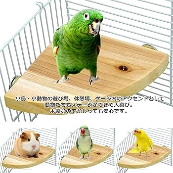 木製ケージ止まり木付き【未使用】 fd63020e6ad691b6d21f8868368b85