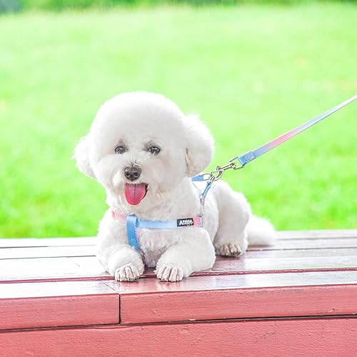 Miniatura 10 de AIITLE Juego de arnés y correa para perro pequeño sin tirones, a prueba de escapeajuste rápido, fácil para entrenar y caminar, anillo doble D, arnés