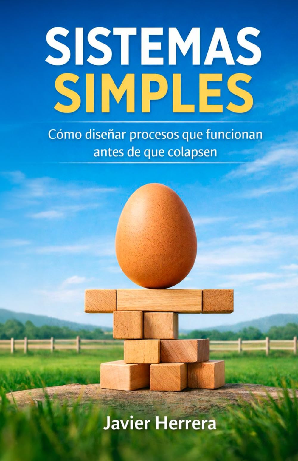 SISTEMAS SIMPLES: Como diseñar procesos que funcionan antes de que colapsen