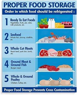 Refrigerator Food Storage Infographic Proper Storage Safety Guide Poster (1) Bedroom Office Room Printed Canvas Poster Wall Art Decoration Painting Aesthetic Poster (16x20inch(40x51cm), Unframe-style)