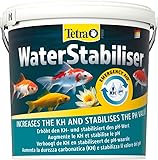 Tetra