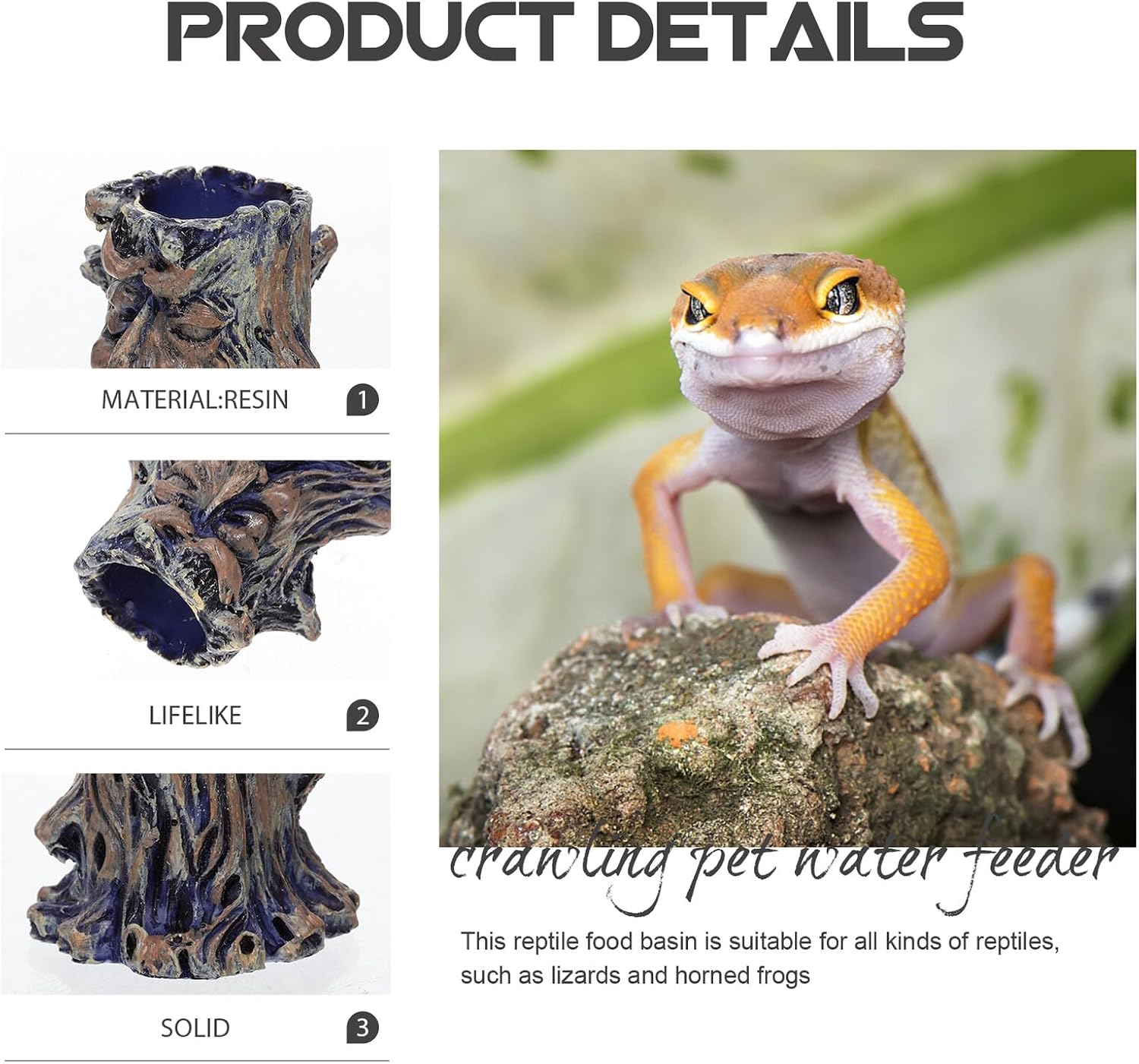 4pcs Reptile Water Bowls and Feeding Dishes Resin Terrarium Bowls for Tortoise Habitat Accessories Spider Feeder Suitable for Crawling Pets