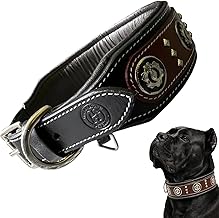 The K9 Store Dog Collar in Leather for Medium, Large & Giant Dog Breeds- Collar in L & XL Size (Size Neck - X Large (22.5-26.5 Inch), DS2-CONCHOSE BRW)