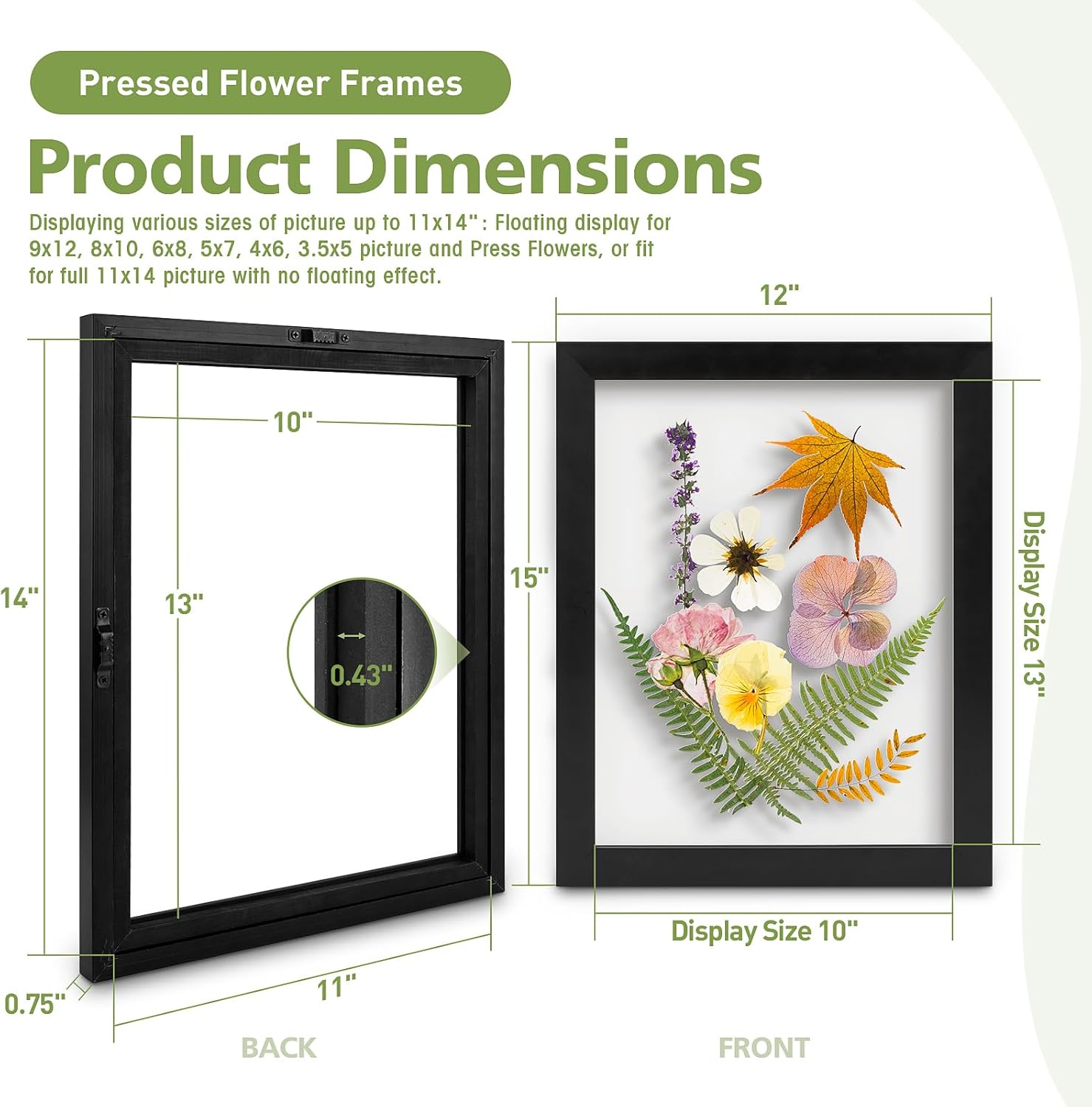 Golden State Art, 11X14 Floating Picture Frame, Black Wood Frame Display Any Size Photo Up To 11X14, Pressed Flower Frames with Hanging Hardware - Horizontal And Vertical Formats for Wall