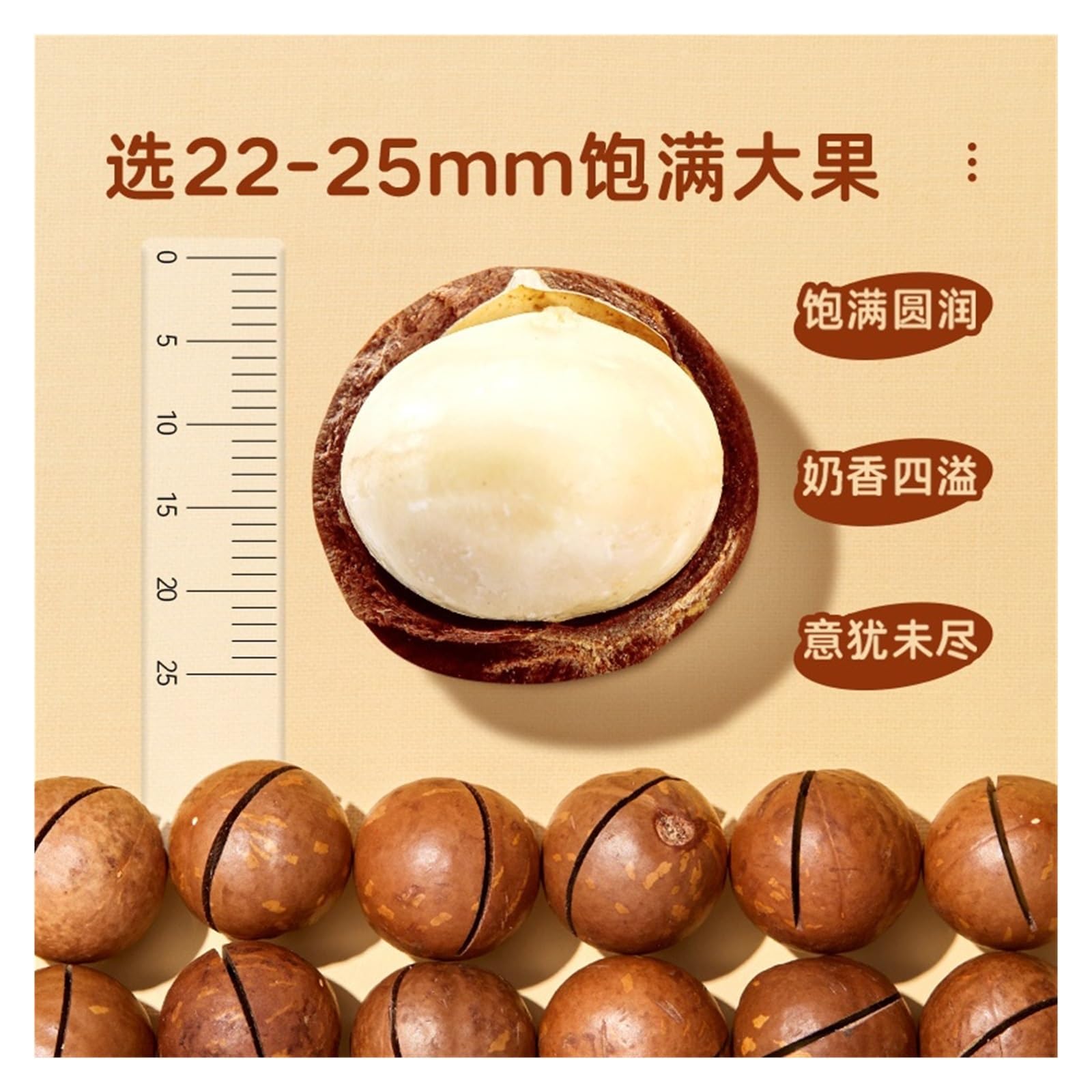夏威夷果 Paquete de lata grande de 500 g de snacks de frutos secos(2 cans)