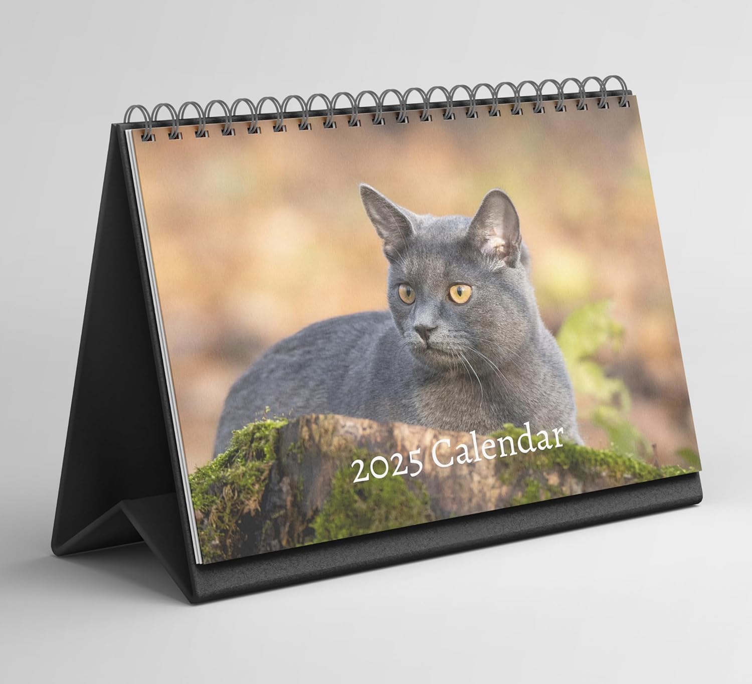 Russian Blue Cat Desk Calendar 20252026 Standing Flip