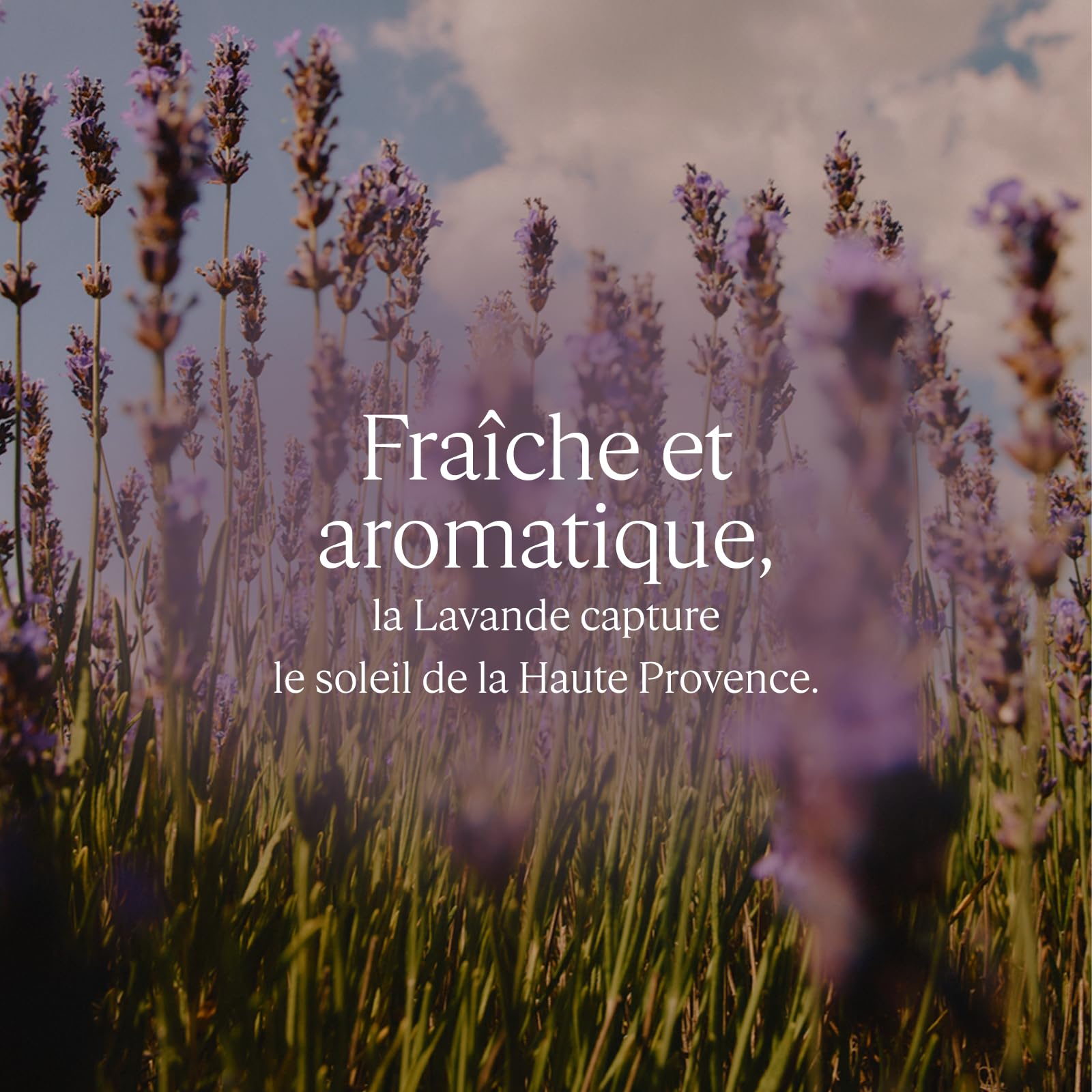 L'OCCITANE - Bain Moussant - Fabriqué en France