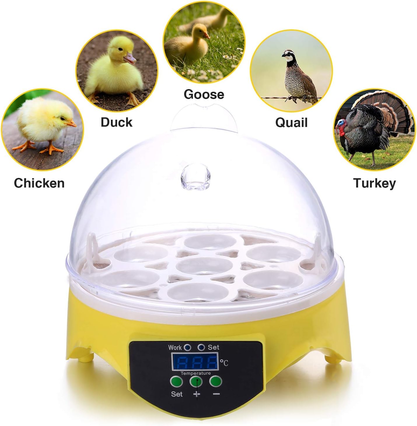 AmyChic New Digital 7 Eggs Incubator Chicken Poultry Turkey Egg Hatcher CE Certificated