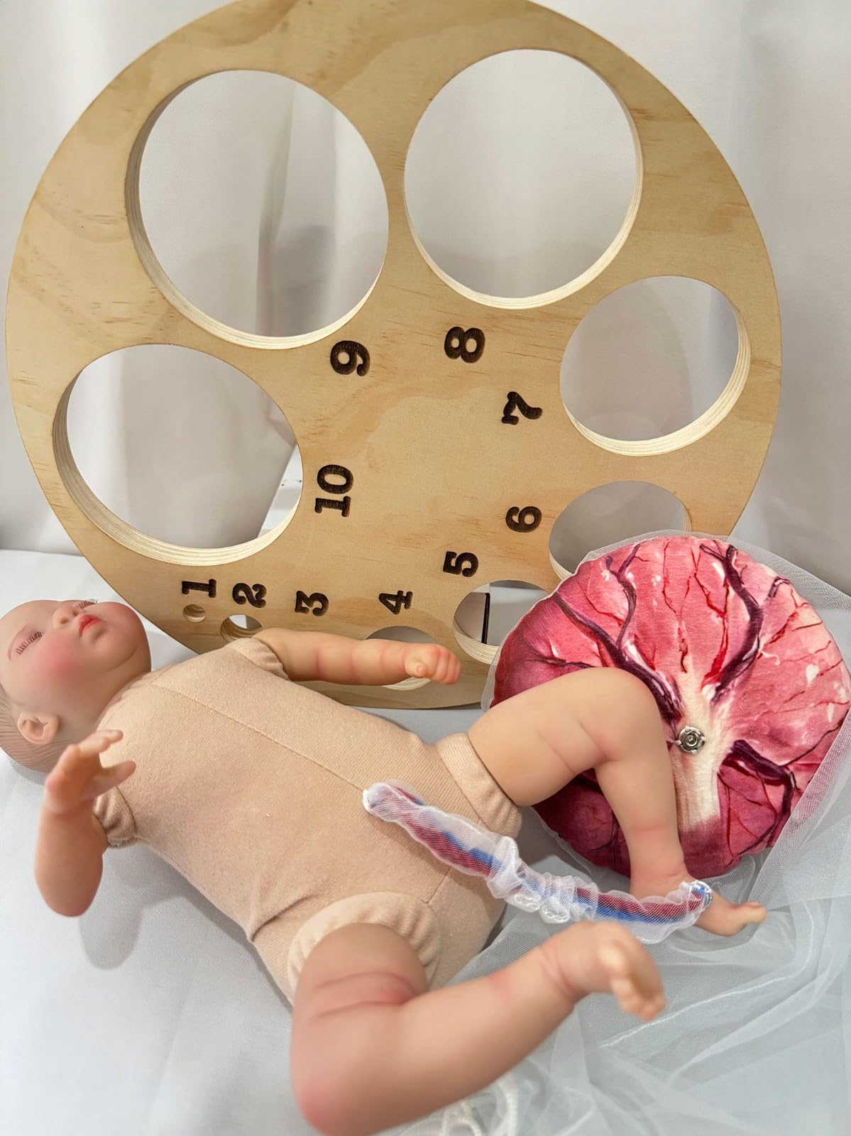 Weibliches Geburtsmodell Für Hebammen Mit Baby Modell Inkl Nabelschnur,Plazenta Und Beckenboden Modell Für Geburtshilfe Und Schulung in Der Weibliche Pelvis Geburtstagsmodell(B)