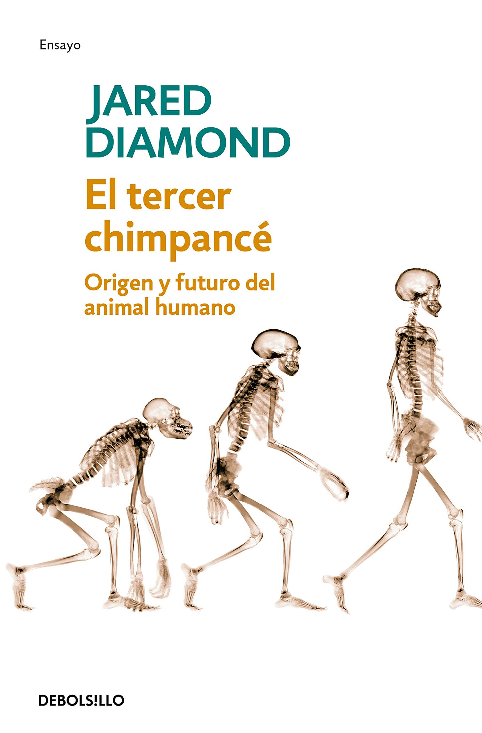 El tercer chimpancé/ The Third Chimpanzee: Origen y futuro del animal humano/ The Evolution and Future of the Human Animal (Ensayo | Ciencia)