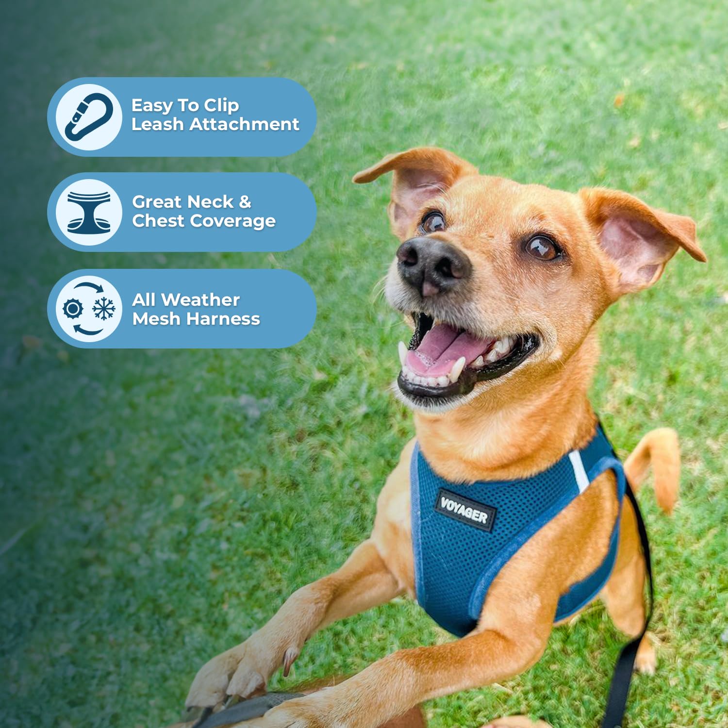 Harnais pour chien Voyager Step-In Air by Best Pet Supplies - Harnais en maille respirante pour chiens de petite et moyenne taille, Turquoise, size S - Poitrine 37-40 cm